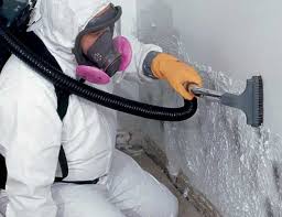 Best Mold Prevention Services  in Teaticket, MA